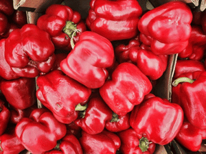Peppers -  Red (2)