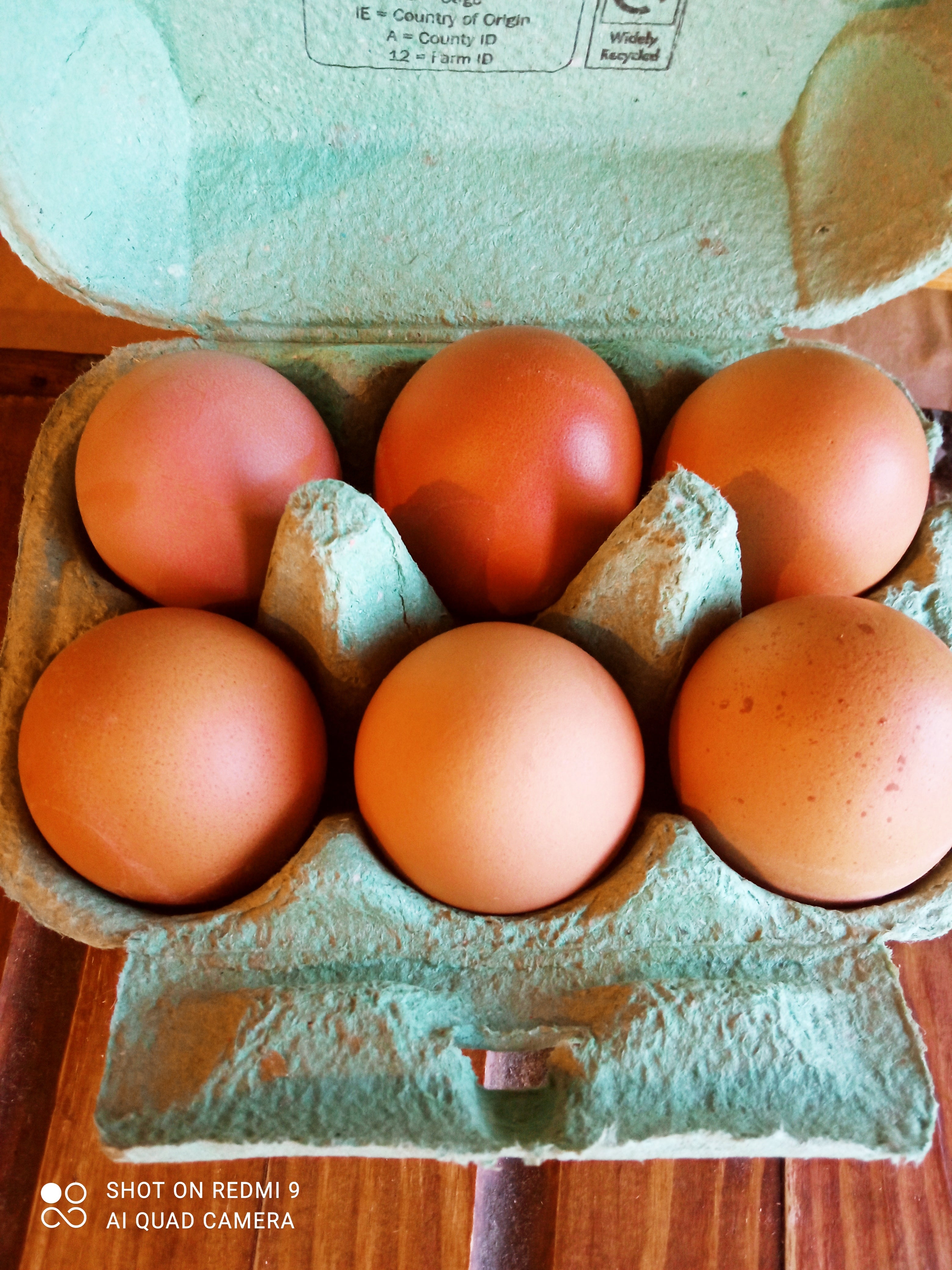 Eggs - Free Range
