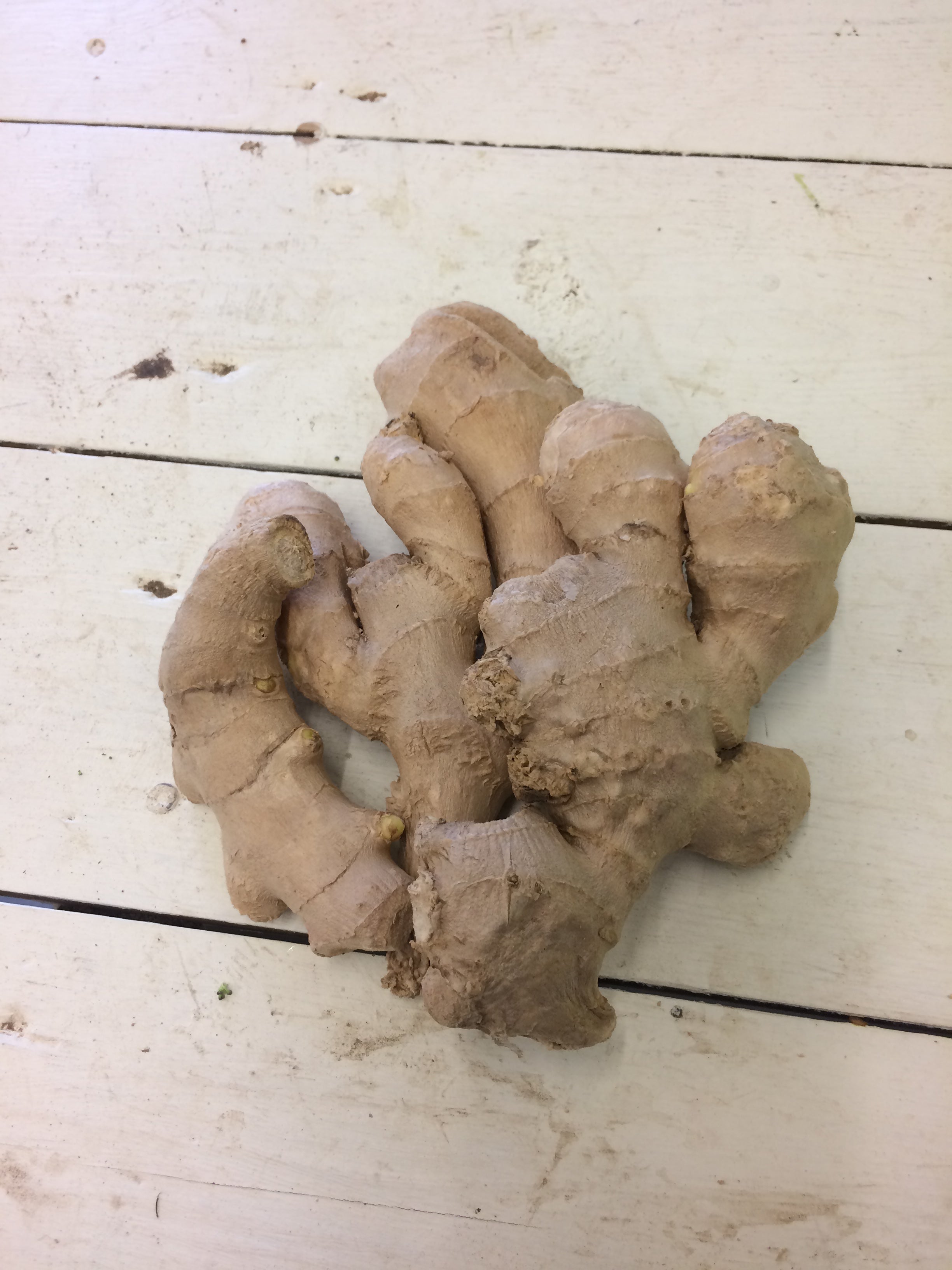 Ginger - Fresh Root