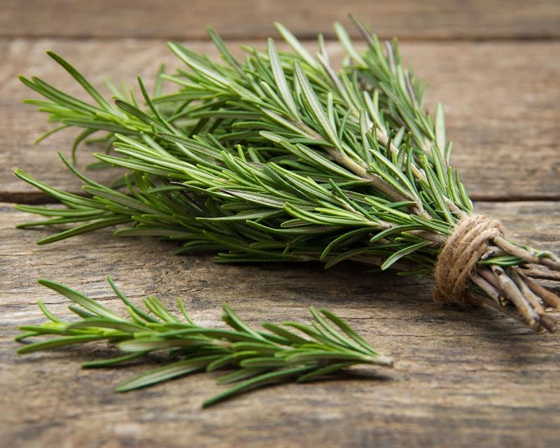 Herbs - Rosemary (50g)