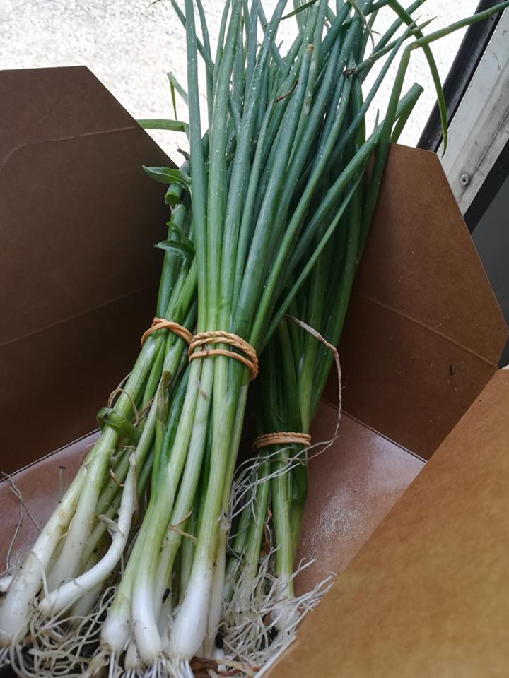 Onions - Spring Onions (100g)